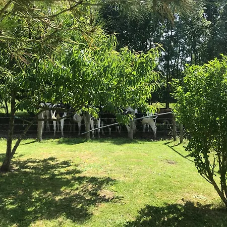Le Vallon Du Perche منزل ريفي Champeaux-sur-Sarthe