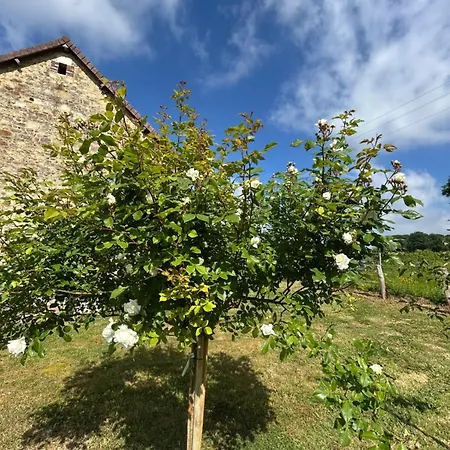 Le Vallon Du Perche
